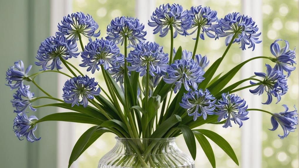 Wedding Flower Guide: Agapanthus 1 plant anatomy and reproduction