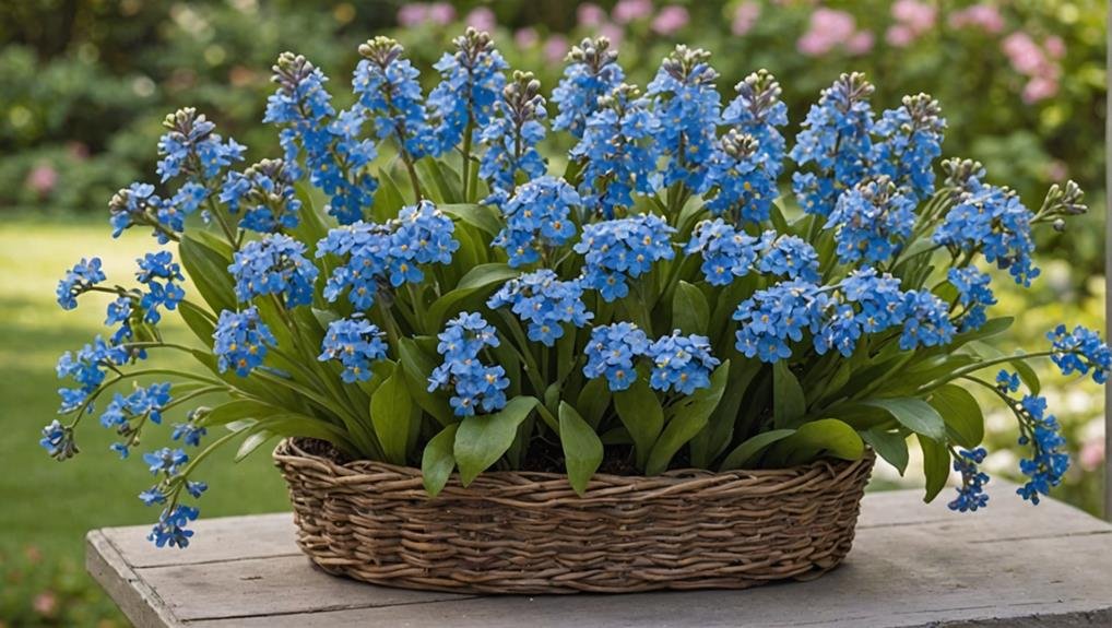Wedding Flower Guide: Forget-Me-Not 2 wide range of colors